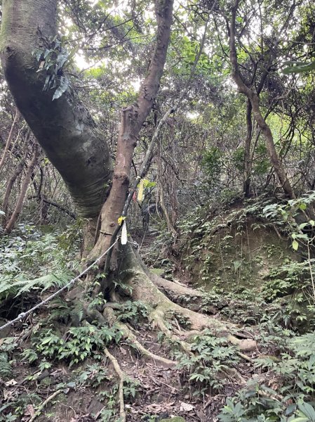 月扇湖大岩壁2952408