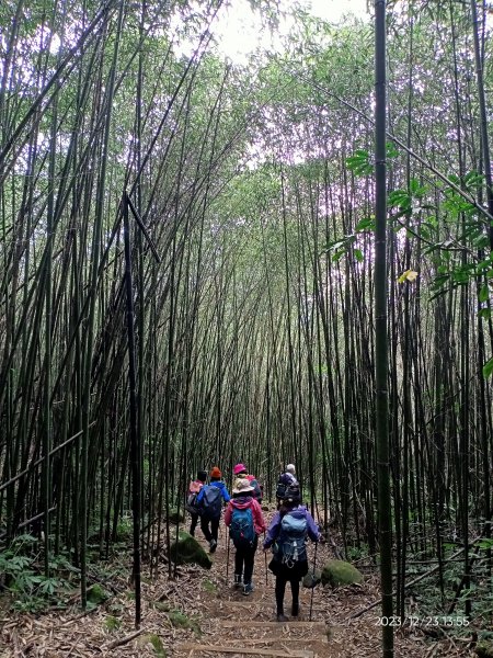 四訪苗栗的花果山-小百岳#037馬那邦山、雪霸國家公園管理處【小百岳集起來、苗栗-臺灣百大必訪步道】2394374