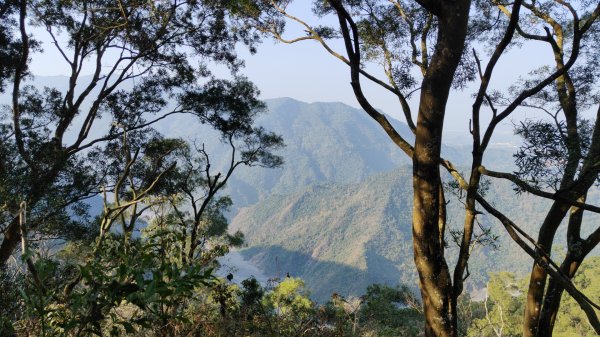 田良井山六連峰(屏東三地門) 探勘初體驗2025年3月9日2731601