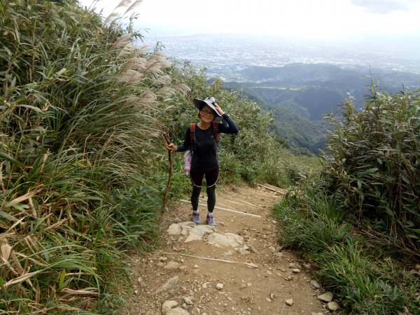 聖母步道上抹茶山+三角崙山1920282