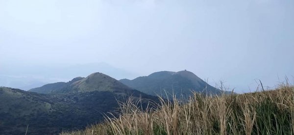 臺北大縱走第二段（2）1309724