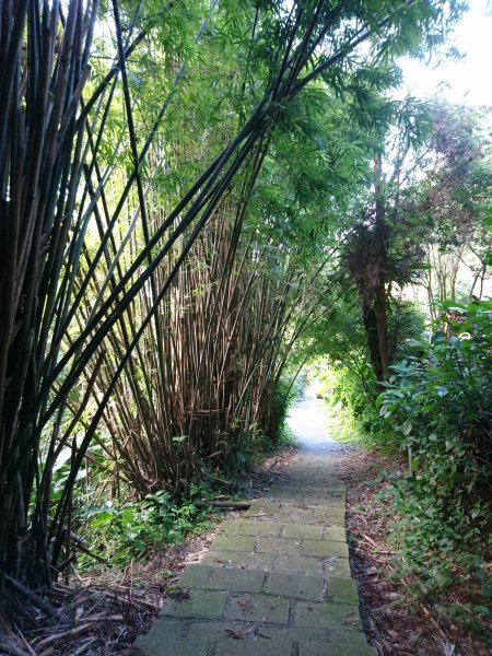 橫嶺古道-湖山國小步道774499