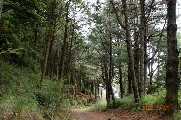 臺中 和平 北三錐山1697922