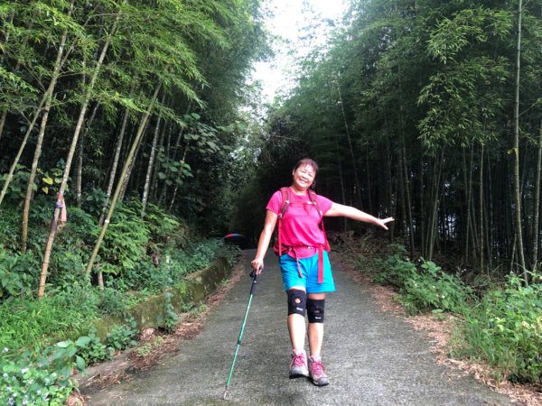後棟山經挑筍古道上大尖山再走樟湖山1100388