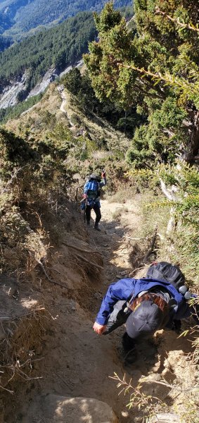 南橫_關山嶺山縱走溪頭山之艱硬路線之美2463267