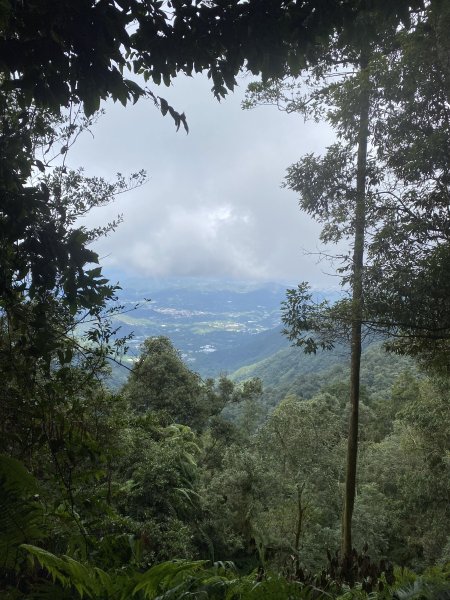 水社大山3060332