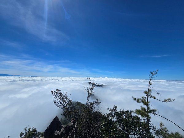 鳶嘴山雲海季開動嘍2634273