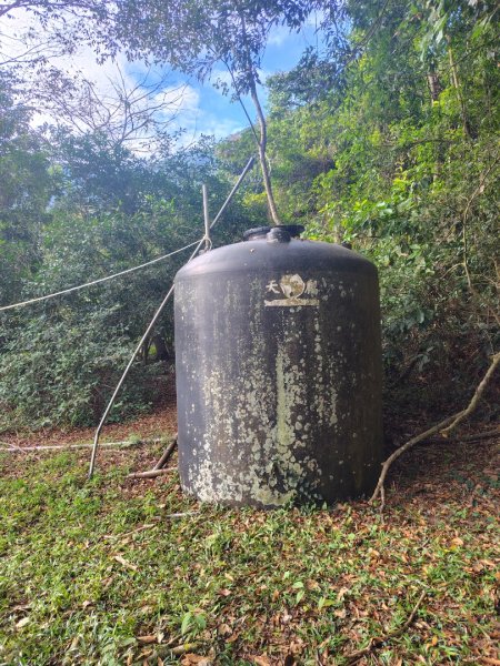 多納六秀 京大山2957585