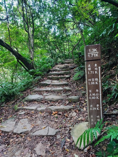 暖東峽谷步道-(基隆)臺灣百大必訪步道2249154