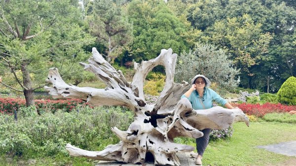 清泉 雪霸農場 野馬瞰山2925897