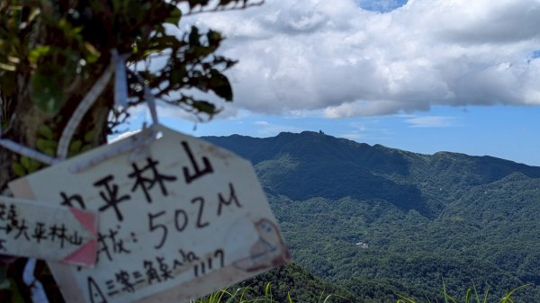 114.06.28內平林山-番子坑山-平湖森林遊樂區之O型2824233
