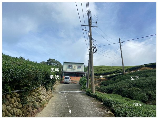 樟湖山 右上左下 (雲林、古坑)2846325
