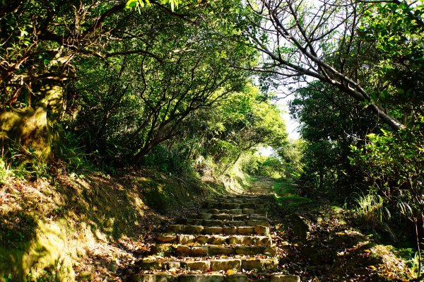 新北 瑞芳 哩咾山、南子吝山3088891