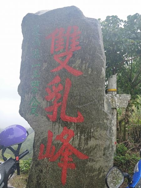 太麻里金針山步道397219