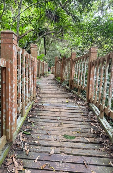 鳴鳳山古道群走鳴鳳山 三湖山吃仙草冰2923294