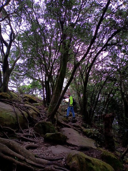 【小百岳集起來】鳶山登山步道【南山神壽任務尋寶趣】鳶山彩壁、福德坑山步道1580848