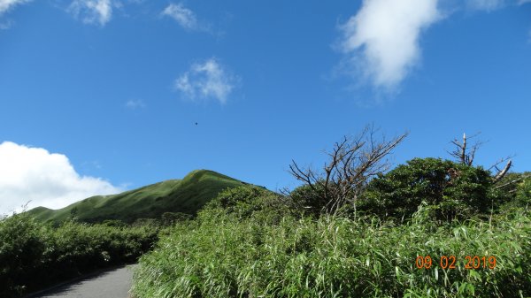 陽明山天際線-七星/小觀音/大屯5連峰O669641