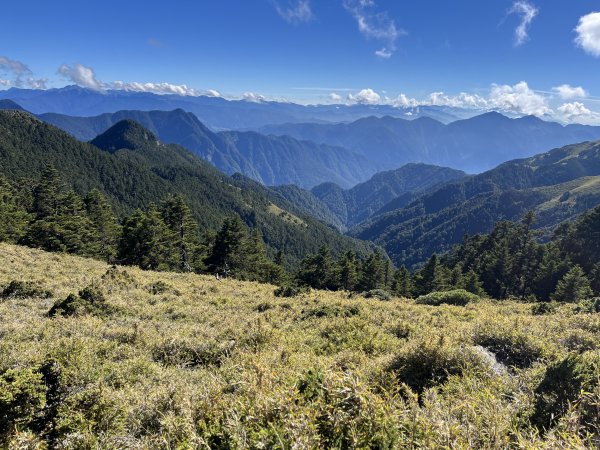 雪山西稜 2023_1105(D4B) 奇峻山2341905