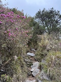 20250524 畢祿山單攻2796499