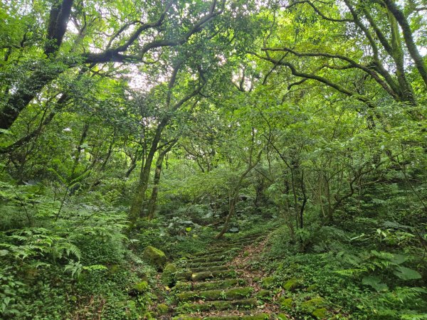 面天山、向天山3045023