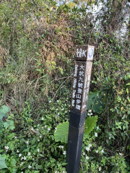 大坑9-1號步道2732244