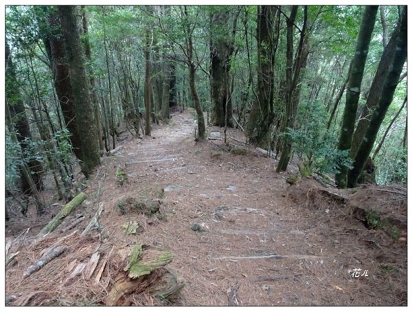 鞍馬山、鞍馬山東北峰(台中/和平)1653604