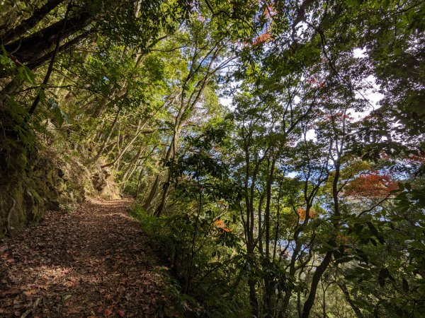 石壁山嘉南雲峰2400243