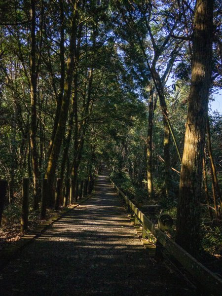 日月潭環湖健走2977665