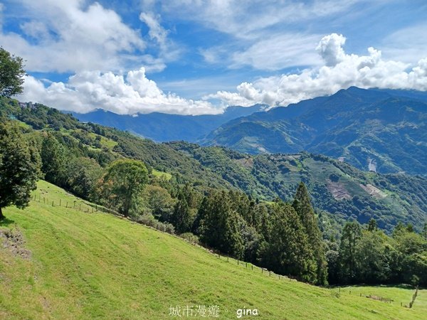 【南投仁愛】離天空最近的絕美步道。 清境高空觀景步道2647676