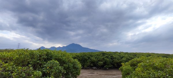 新北．淡水輕軌 紅樹林生態步道2023/02/202148753