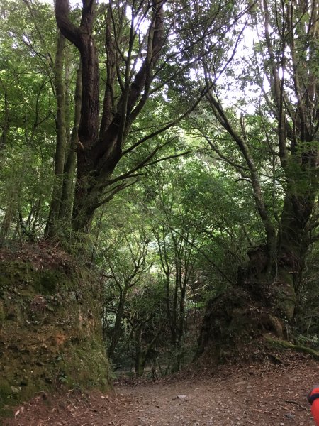 20161109-10_奇萊南華873691