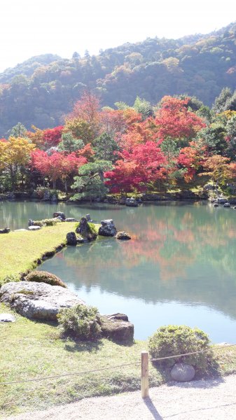 日本京都嵐山651960