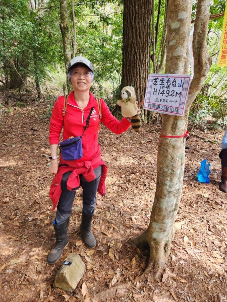 112/2/11芝生毛台山、屯野生炮台2148087
