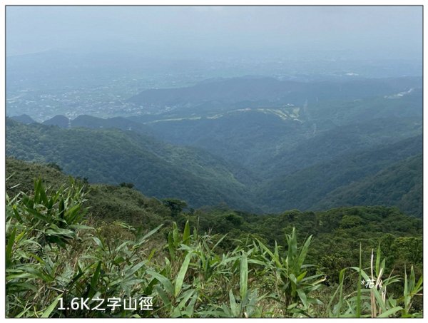 聖母峰、三角崙山 (抹茶山) 連走2802214