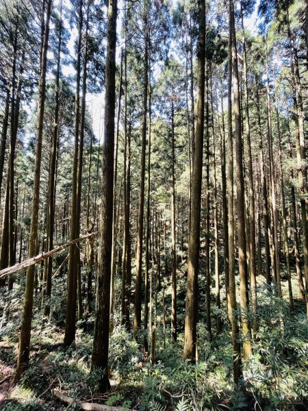 2020/03/12 那結山＆貴妃山 O形縱走1650322