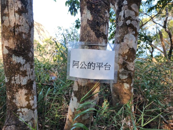 小百岳No.80⛰里龍山2776326