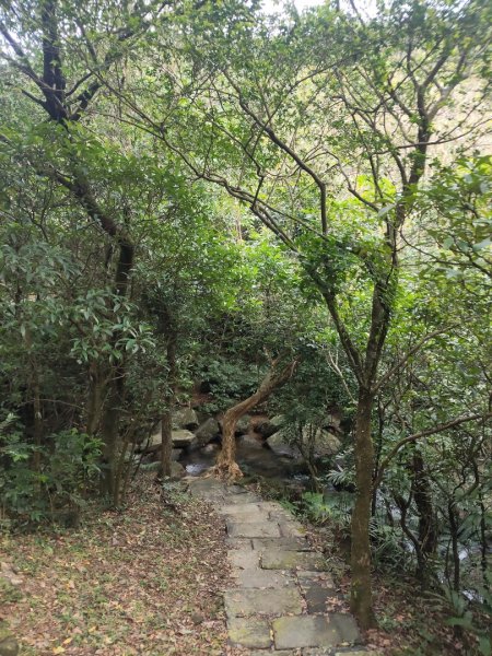 草嶺古道茫草祭2936605