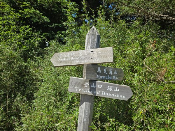 志佳陽大山（回程走高繞環山獵人登山步道）2542163