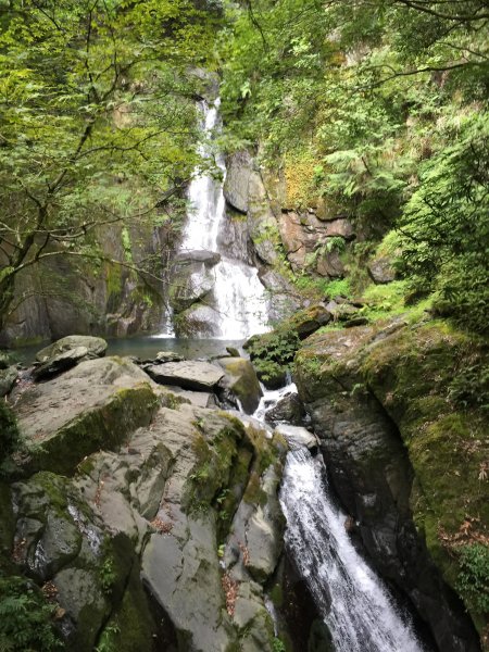 大霸尖山之行萬里路1560198