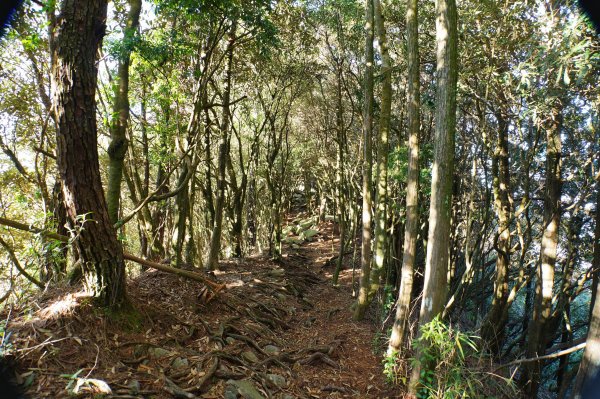 台中 和平 鳶嘴山2926851