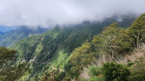 玉山前峰，關子嶺大凍山，宜蘭拳頭姆自然步道2313390