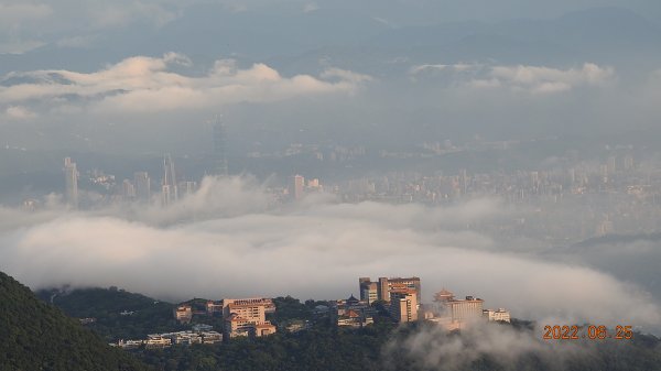 雲山水花鳥蝶-天龍國阿伯的日常6/25&261744385