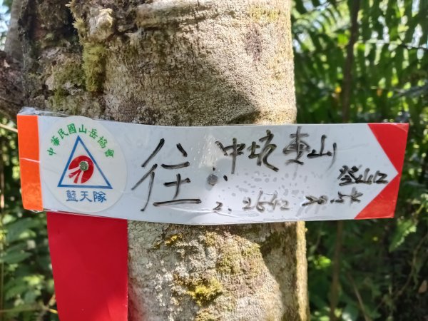 雙溪區豹子廚越嶺保甲路+北豹子廚山+中坑東山稜線O型2880068