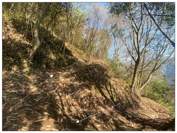 獵人古道、望美山、瓊山 連走3011769