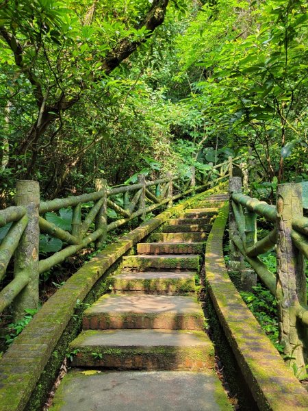 2021.05.10 基隆－情人湖公園1380977