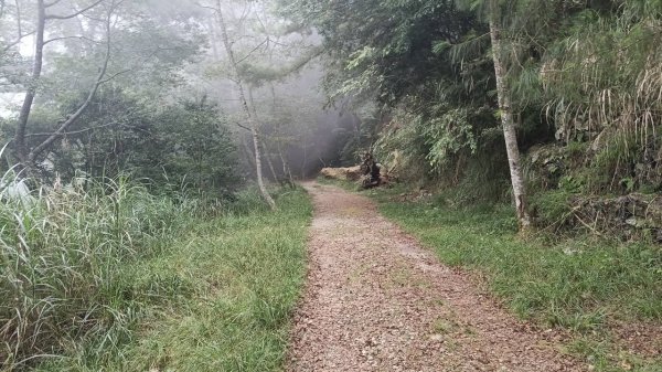20251010 大雪山國家森林遊樂區 - 船型山林道 登 烏石坑山2911117