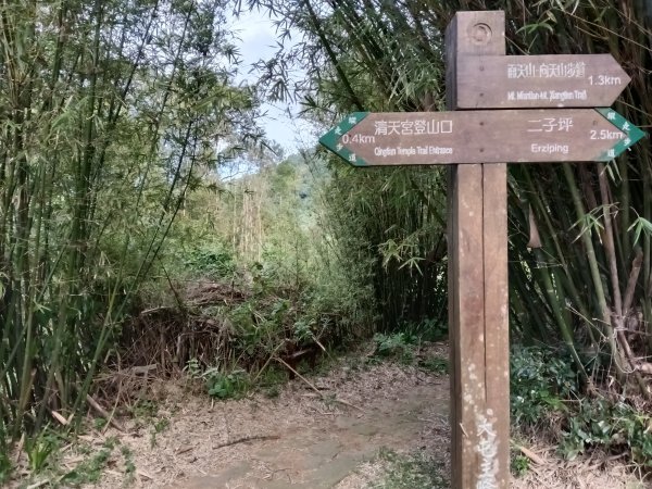 北投區清天宮步道+面天山+向天山+向天池+興福寮步道+頂青礐古道P字走2960028