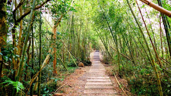 雲嘉五連峰2948650