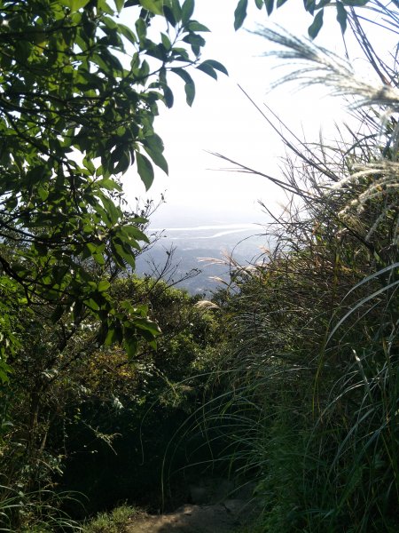 七星山主、東峰登山步道1682140