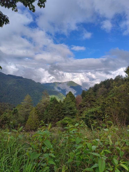 稍來小雪山國家步道、船型山、鞍馬山、鞍馬山東北峰、天池、雪山神木2799964
